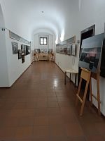 IMG_20250416_090647