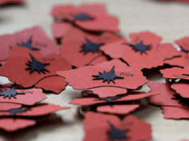 Vlčí mák pro české veterány_dobročinná sbírka